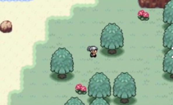 口袋妖怪火箭队