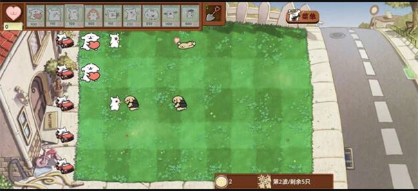 小白大战小鸡毛