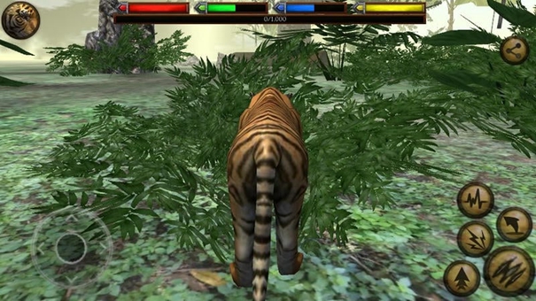 丛林动物模拟器修改版1.1