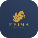 飞马外勤app下载安卓版