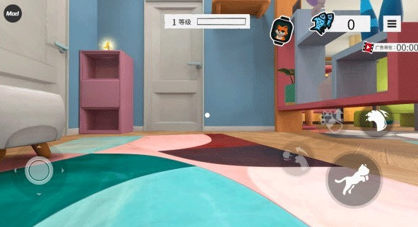 奶奶的贴心小猫