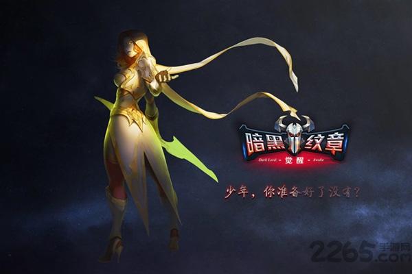 暗黑纹章觉醒果盘版高清大图 暗黑纹章觉醒果盘版v1.1.0