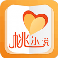桃小说安卓版